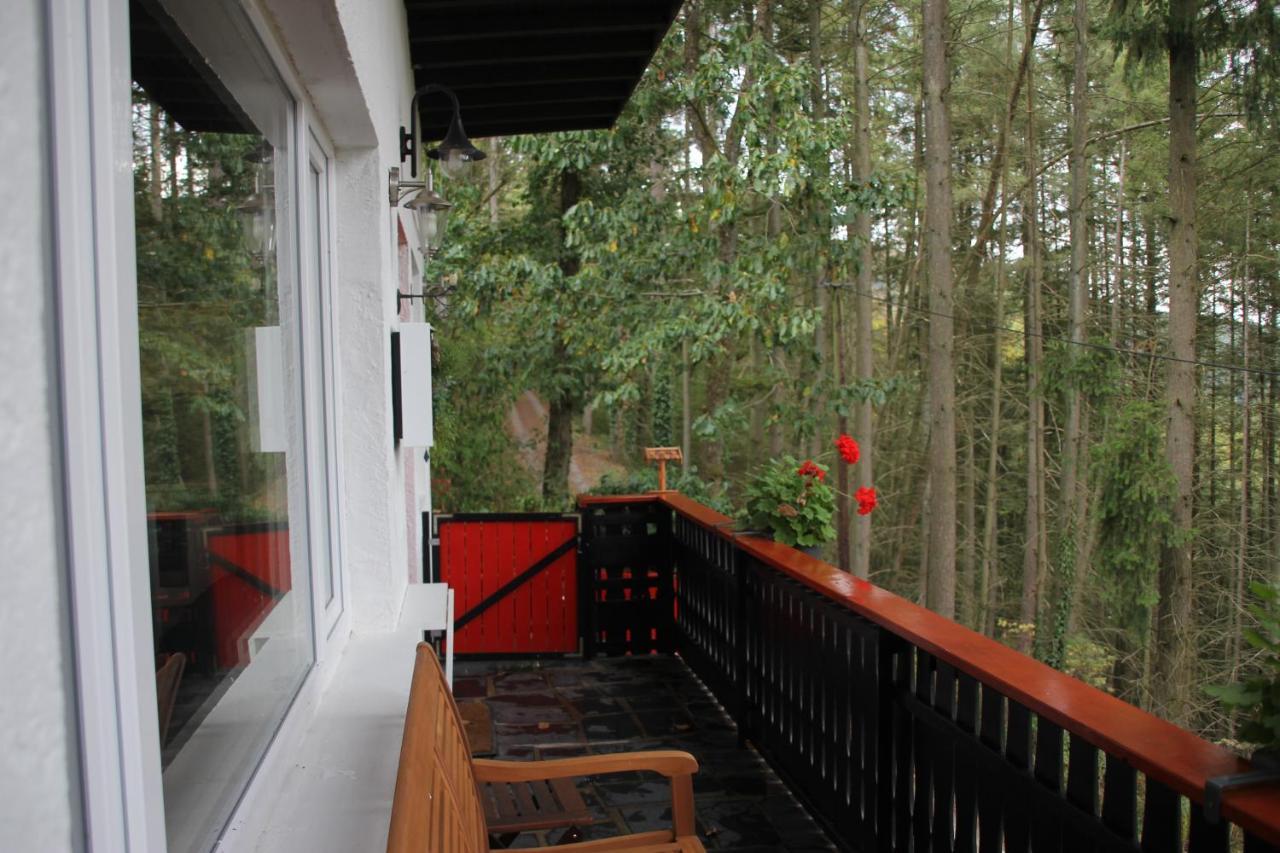 The Vianden Cottage - Charming Cottage In The Forest Kültér fotó