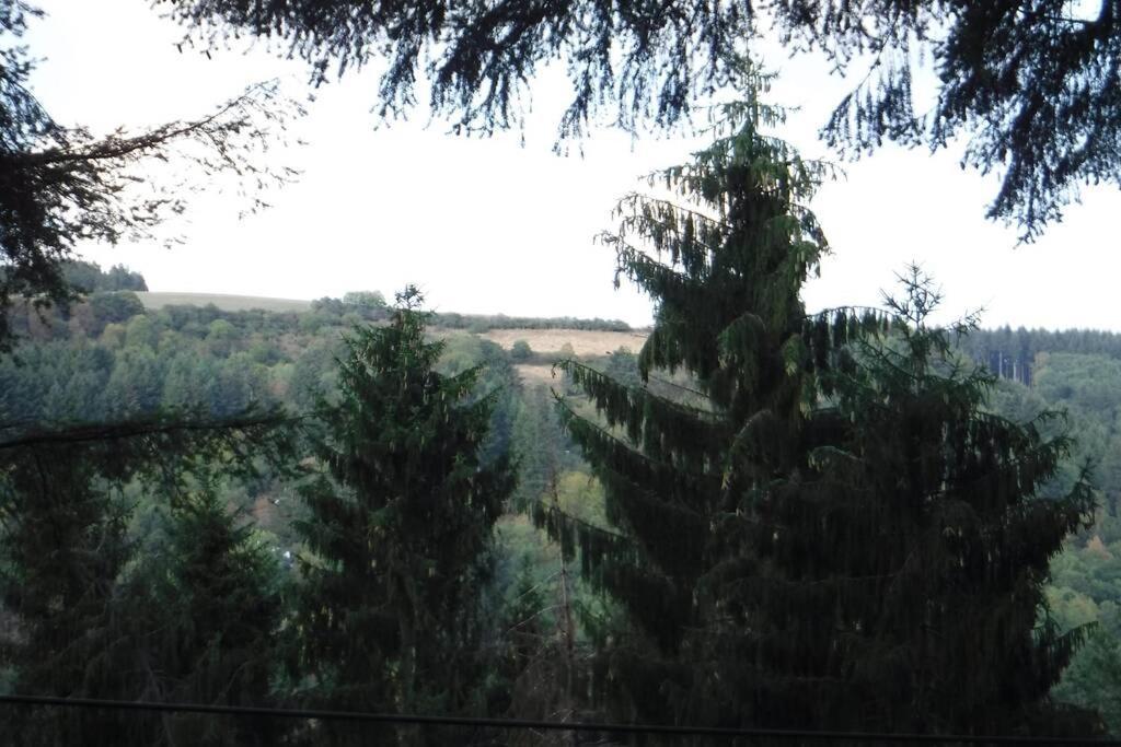 The Vianden Cottage - Charming Cottage In The Forest Kültér fotó