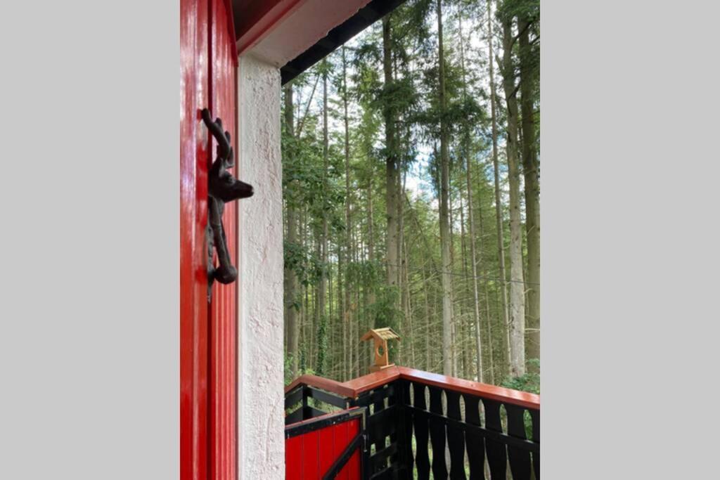 The Vianden Cottage - Charming Cottage In The Forest Kültér fotó